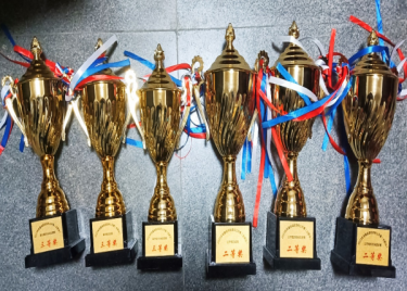 我校学子在安徽省高校龙舟公开赛（合肥站）中喜获佳绩