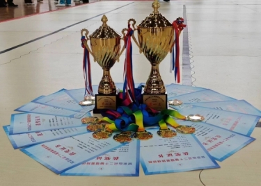 我校学子在安徽省第二十届健美操锦标赛中喜获佳绩